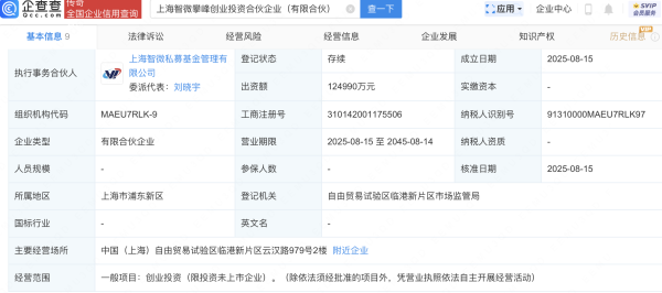 口碑最好的配资平台 中微公司等成立智微攀峰创投合伙企业，出资额约12亿