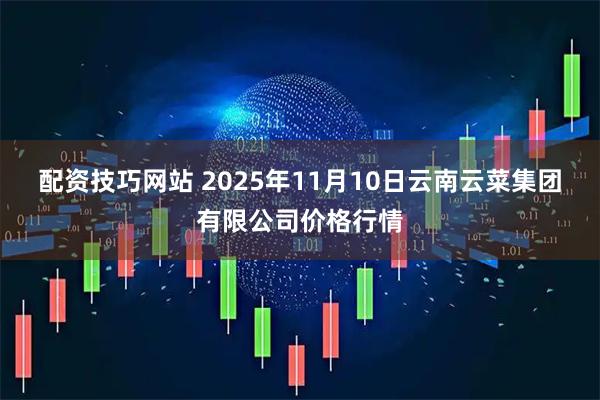 配资技巧网站 2025年11月10日云南云菜集团有限公司价格行情