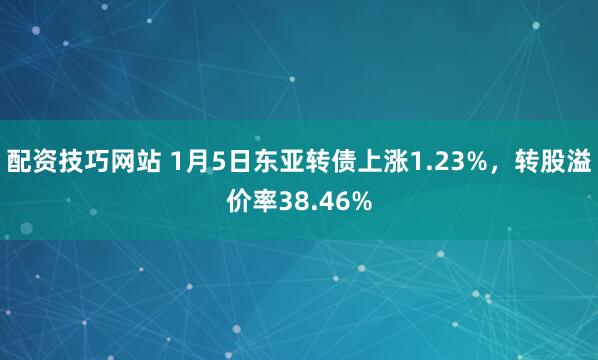 配资技巧网站 1月5日东亚转债上涨1.23%，转股溢价率38.46%